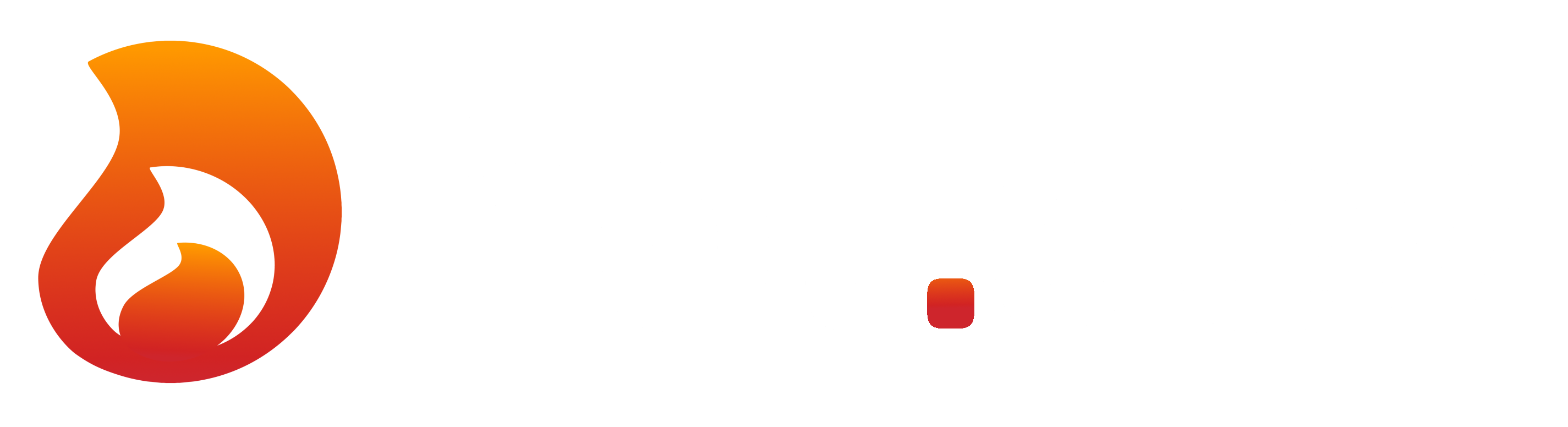 hot.dev logo